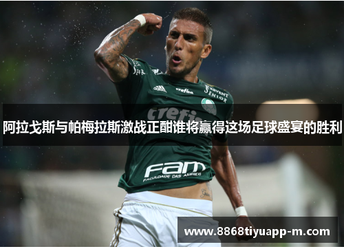 阿拉戈斯与帕梅拉斯激战正酣谁将赢得这场足球盛宴的胜利